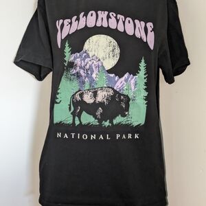 Black Short Sleeve Tee with Graphic Bison Design